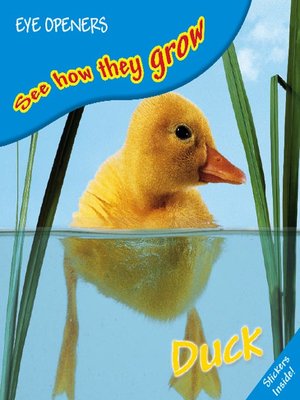 cover image of Duck